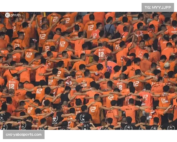 非洲联赛球迷上座率稳步增长 球市氛围热烈 非洲联赛球迷上座率稳步增长 球市氛围热烈